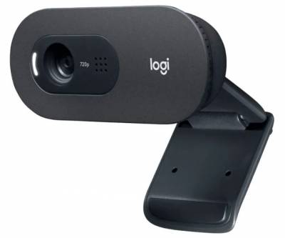 Камера Web Logitech C505 черный 1.2Mpix (1280x720) USB2.0 с микрофоном для ноутбука (960-001364)
